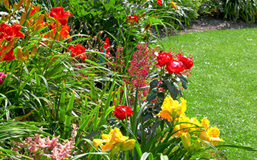 Como cuidar do seu jardim na primavera