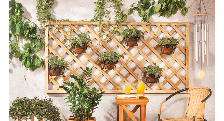 Como escolher a planta ideal para área externa ou interna