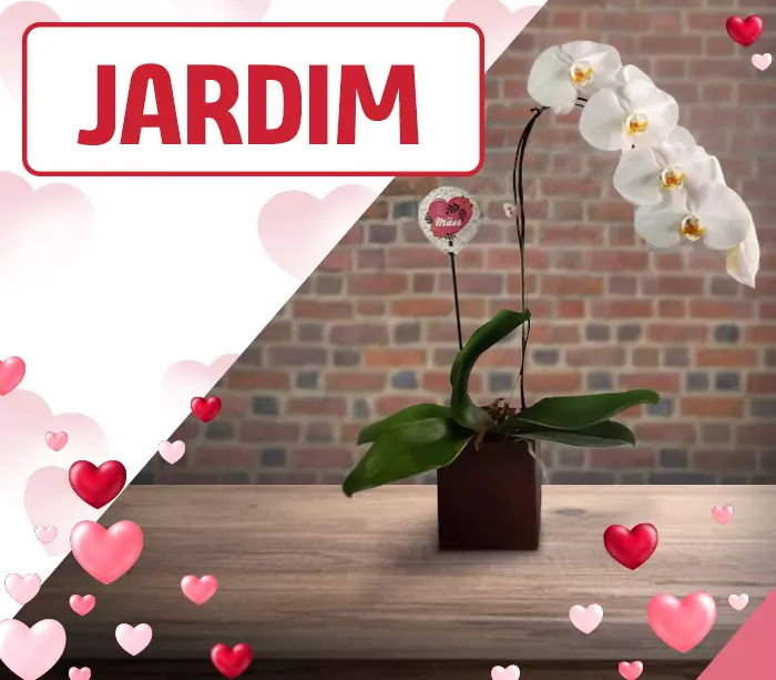 Jardim